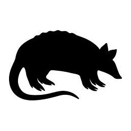 Armadillo Decal Sticker V24 - DecalsHouse