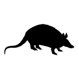 Armadillo Decal Sticker V25 - DecalsHouse