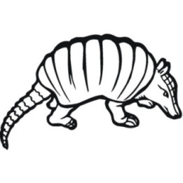 Armadillo Decal Sticker V32 - DecalsHouse