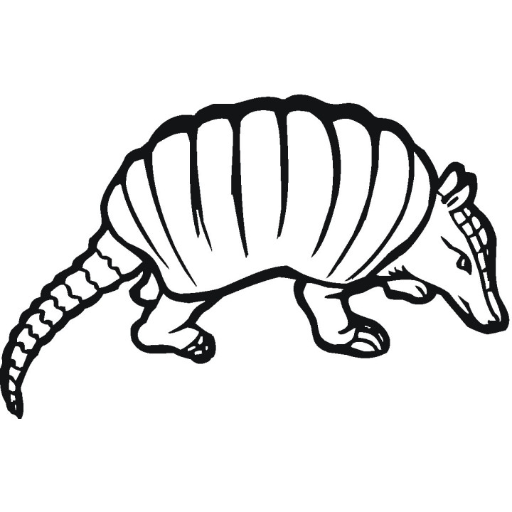 Armadillo Decal Sticker V32 - DecalsHouse