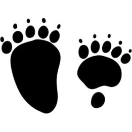 Bear Prints Vinyl Decal Sticker V2 - DecalsHouse