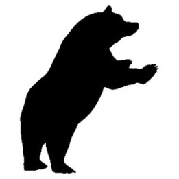 Bear Vinyl Decal Sticker V10 - DecalsHouse