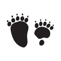 Bear Vinyl Decal Sticker V102 - DecalsHouse