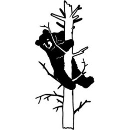Bear Vinyl Decal Sticker V19 - DecalsHouse