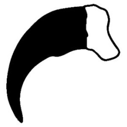 Bear Vinyl Decal Sticker V2 - DecalsHouse