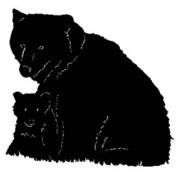 Bear Vinyl Decal Sticker V20 - DecalsHouse
