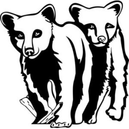 Bear Vinyl Decal Sticker V3 - DecalsHouse
