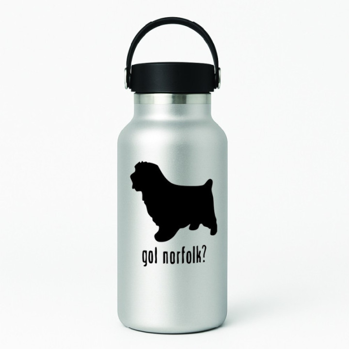 Buy Got Norfolk Terrier Dog Online