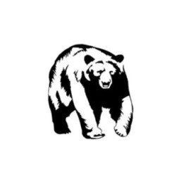 Bear Vinyl Decal Sticker V36 - DecalsHouse