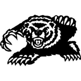 Bear Vinyl Decal Sticker V62 - DecalsHouse