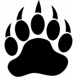 Bear Vinyl Decal Sticker V80 - DecalsHouse