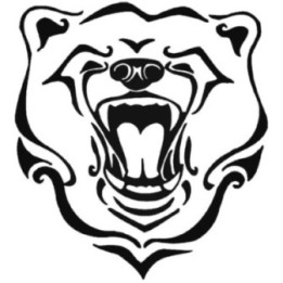Bear Vinyl Decal Sticker V82 - DecalsHouse