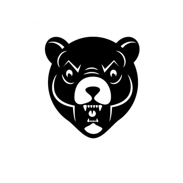 Bear Vinyl Decal Sticker V95 - DecalsHouse
