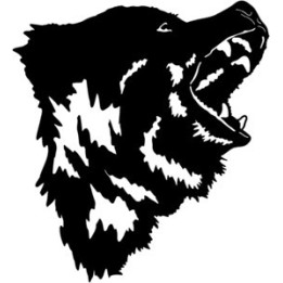 Bear Vinyl Decal Sticker - DecalsHouse
