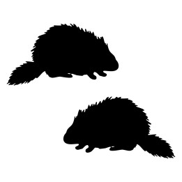 Porcupine Silhouette Stickers – Spined Back Decals