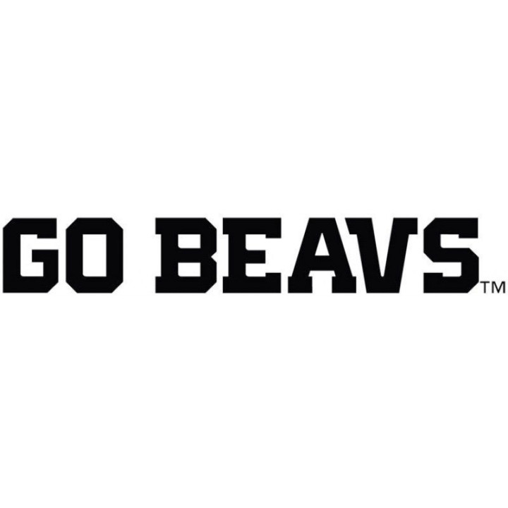 Beaver Decal Sticker V24 - DecalsHouse