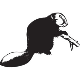 Beaver Decal Sticker V27 - DecalsHouse