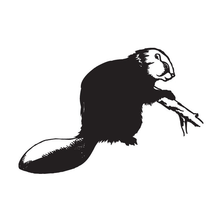 Beaver Decal Sticker V27 - DecalsHouse