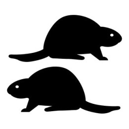 Beaver Decal Sticker V29 - DecalsHouse