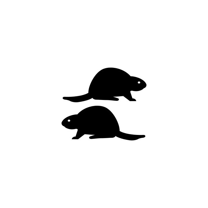 Beaver Decal Sticker V29 - DecalsHouse