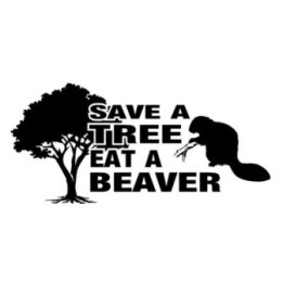 Beaver Decal Sticker V30 - DecalsHouse