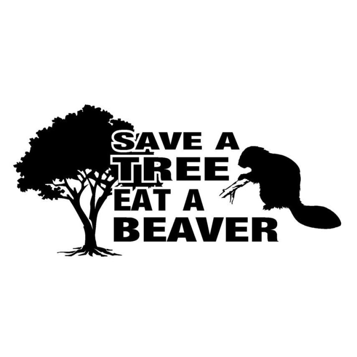 Beaver Decal Sticker V30 - DecalsHouse