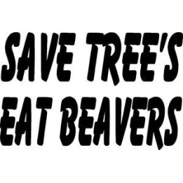 Beaver Decal Sticker V31 - DecalsHouse