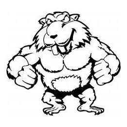 Beaver Decal Sticker V38 - DecalsHouse