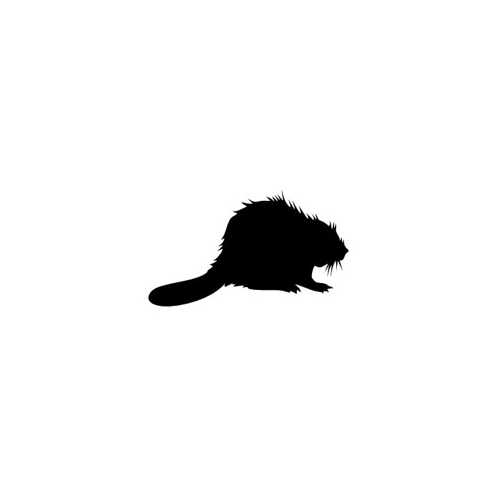 Beaver Decal Sticker V42 - DecalsHouse