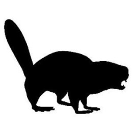 Beaver Decal Sticker V5 - DecalsHouse