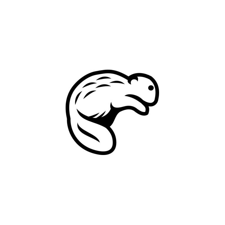 Beaver Decal Sticker V51 - DecalsHouse