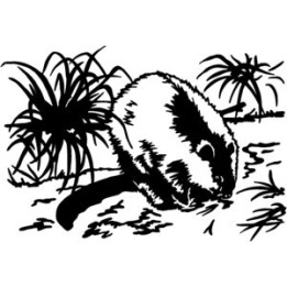 Beaver Decal Sticker - DecalsHouse
