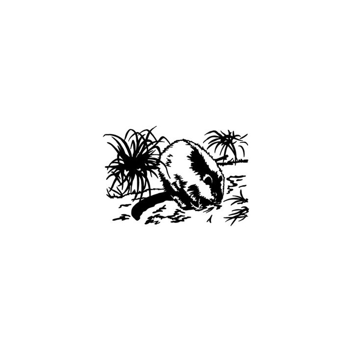 Beaver Decal Sticker - DecalsHouse