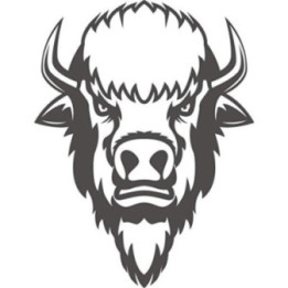 Bison Decal Sticker V12 - DecalsHouse