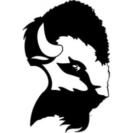 Bison Decal Sticker V40 - DecalsHouse