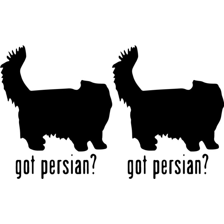 Buy Got Persian Cat Online