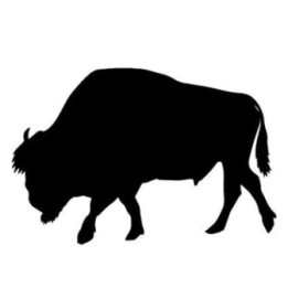 Buffalo Vinyl Decal Sticker V16 - DecalsHouse