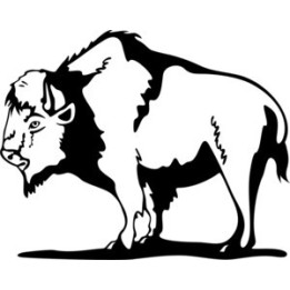 Buffalo Vinyl Decal Sticker V2 - DecalsHouse
