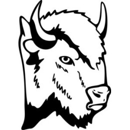 Buffalo Vinyl Decal Sticker V3 - DecalsHouse