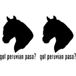 Buy Got Peruvian Paso Horse Online