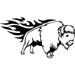 Buffalo Vinyl Decal Sticker V34 - DecalsHouse