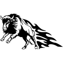 Buffalo Vinyl Decal Sticker V36 - DecalsHouse