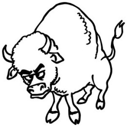 Buffalo Vinyl Decal Sticker V41 - DecalsHouse