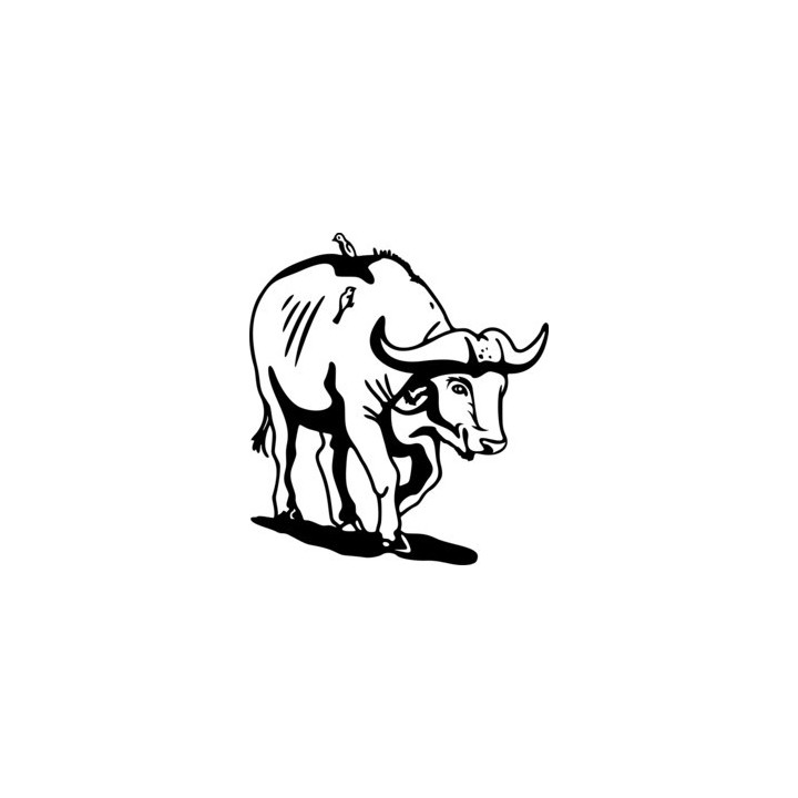 Buffalo Vinyl Decal Sticker V5 - DecalsHouse