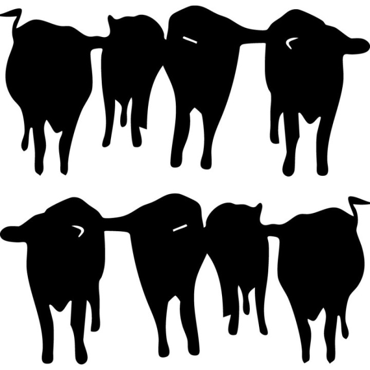 Cattle Herd Silhouette Stickers – Farm Cow Decals (2-Pack)