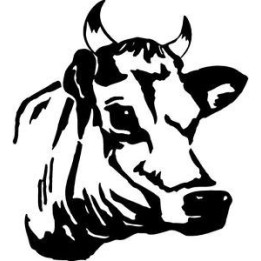 Cow Head Stickers – Farm Cattle Decals (2-Pack)