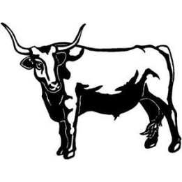 Longhorn Cattle Stickers – Bull Cow Farm Decals (2-Pack)