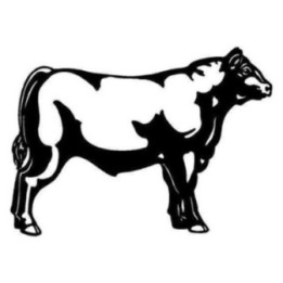 Cow Stickers – Cattle Steer Silhouette Decals (2-Pack)