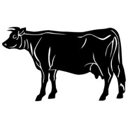 Cow Stickers – Farm Animal Cattle Decals (2-Pack)