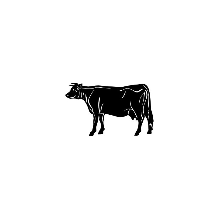 Cow Stickers – Farm Animal Cattle Decals (2-Pack)